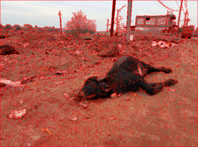 لعنة الإرهاب تلاحق العراقيين.. تشابه الأسماء يزج ببعضهم في السجن